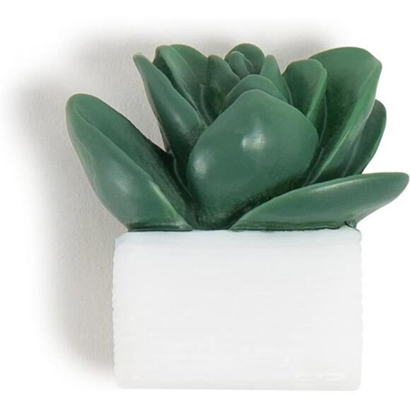 Succulent push pins bulletin board decorative thumb tacks office supplies set - Picture 4 of 7